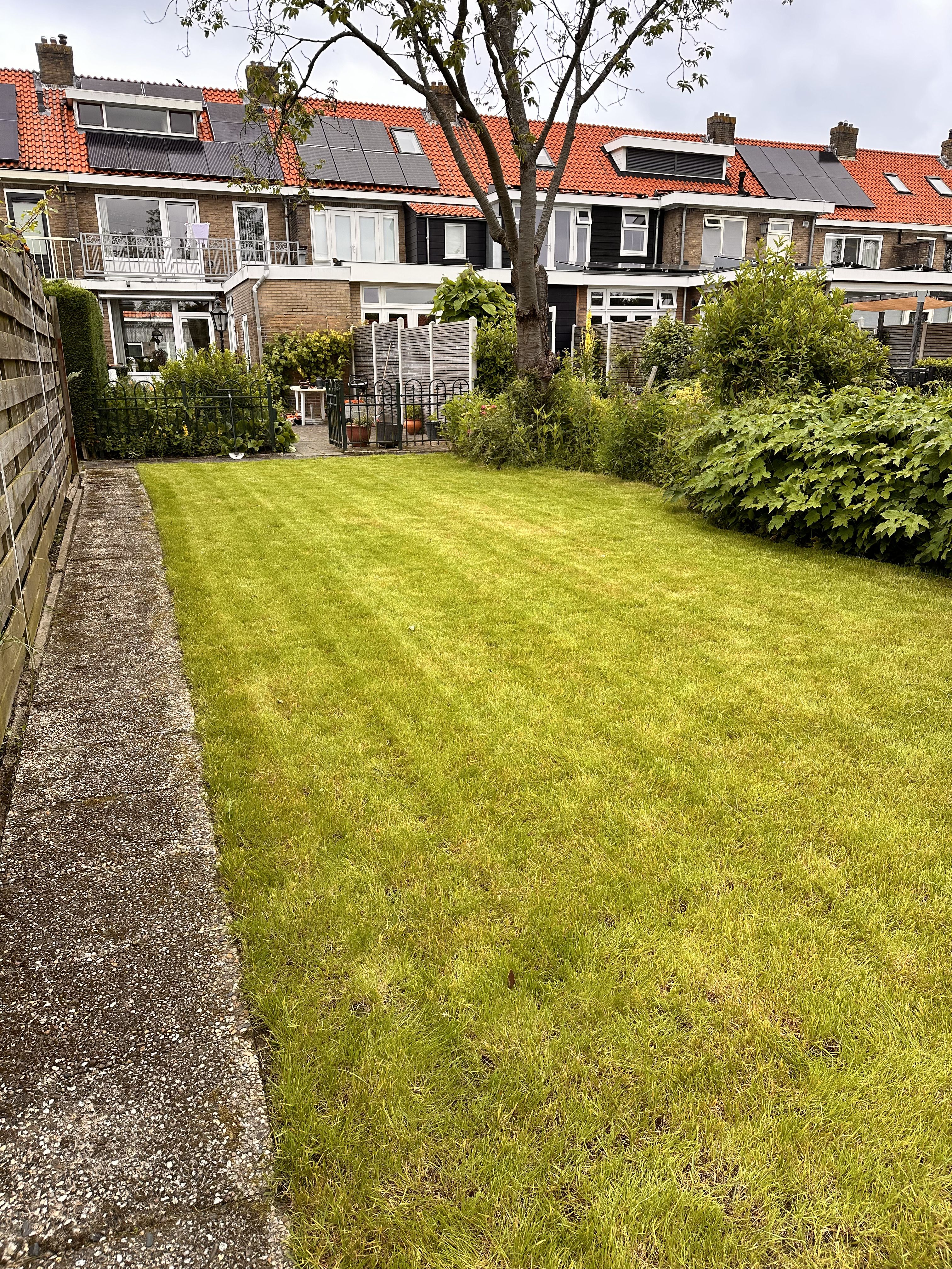 Tuinrenovatie