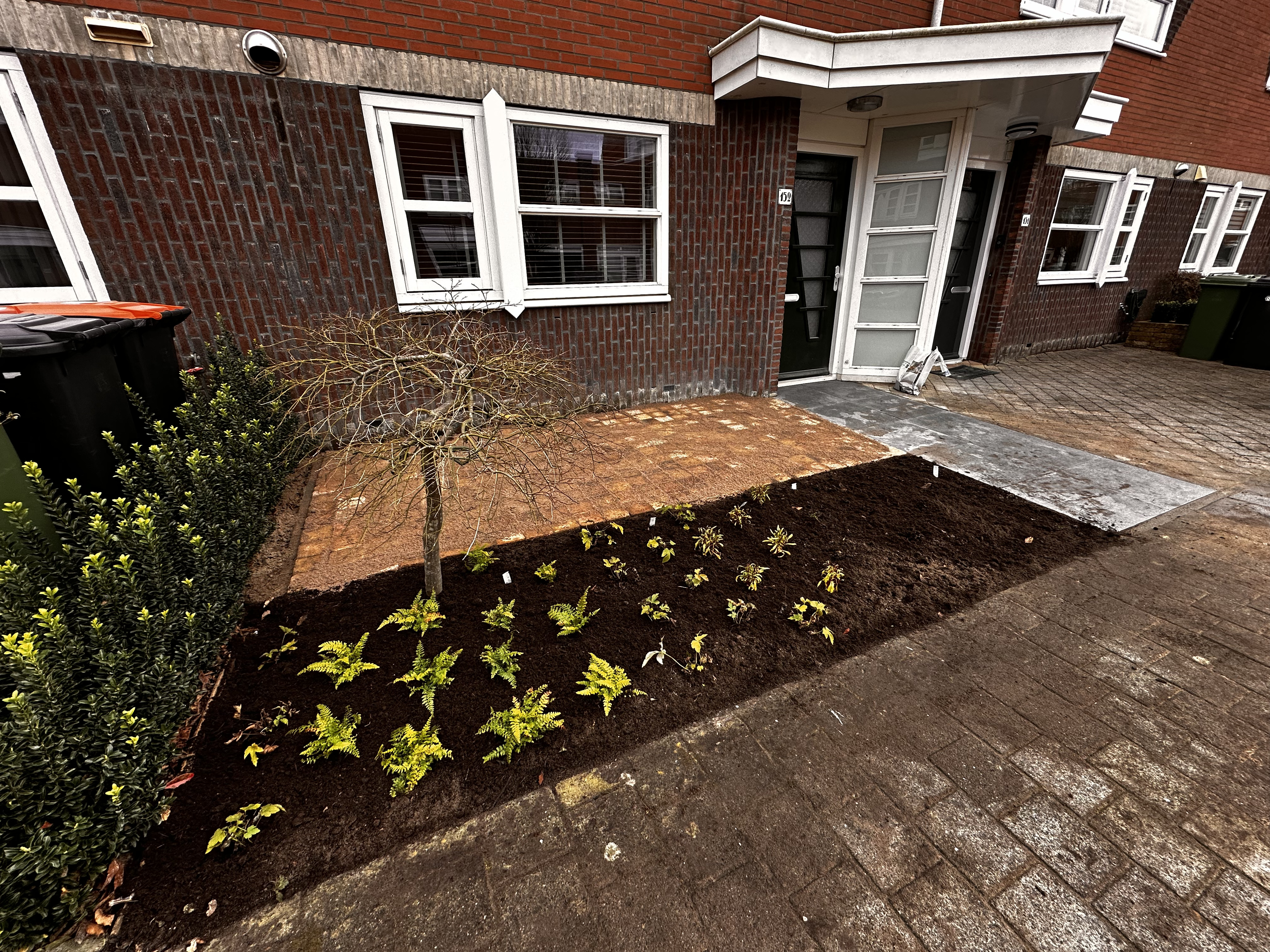 Tuinrenovatie
