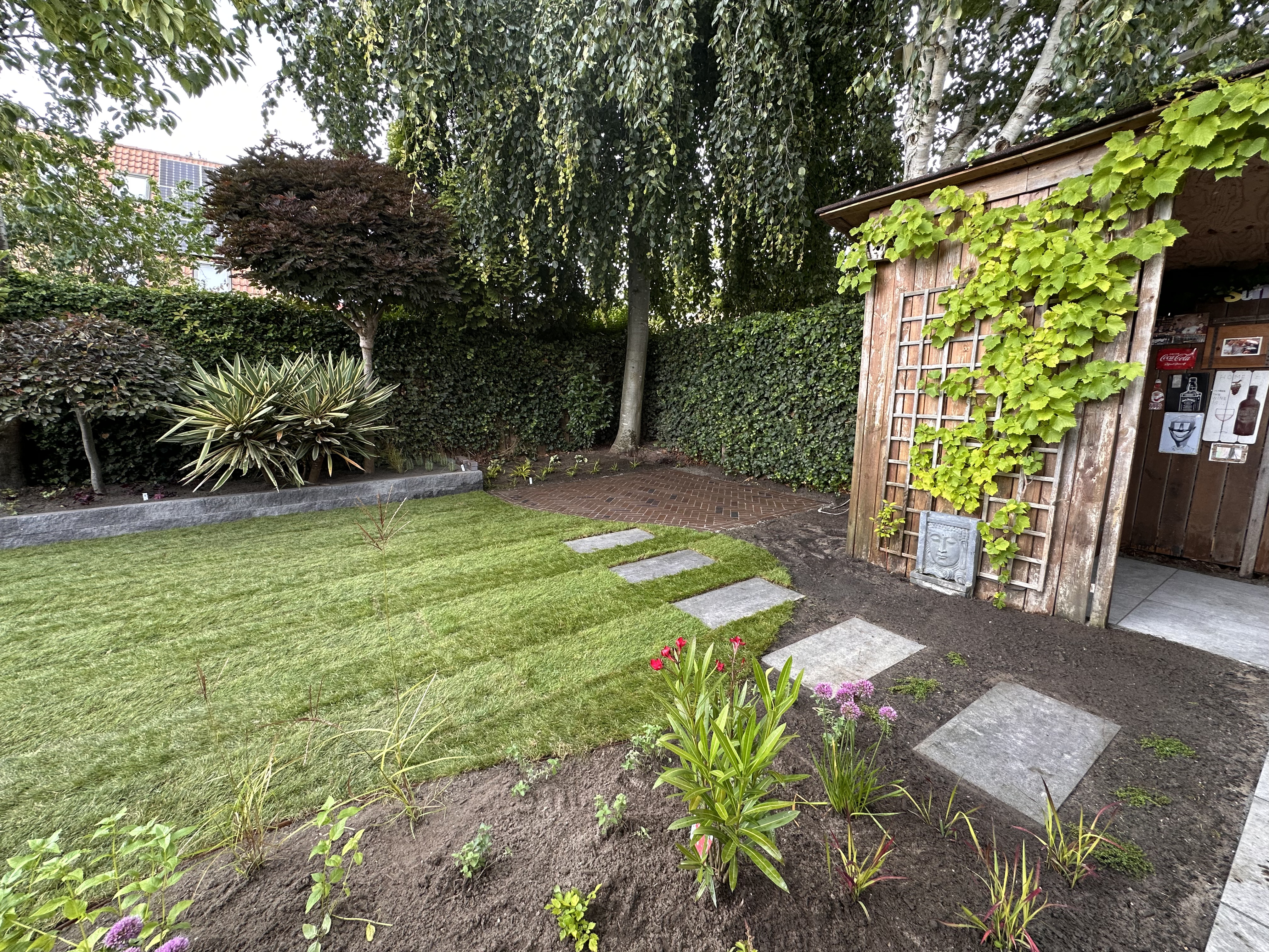 Tuinrenovatie